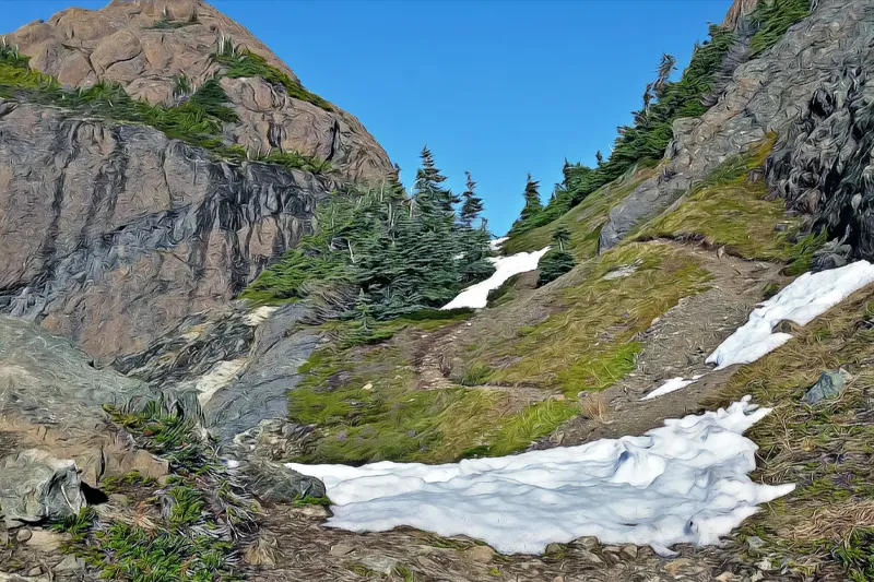 Mount-Arrowsmith-Massif-Regional-Park-coombs-errington-vancouver-island-virtual-guide-goparksville