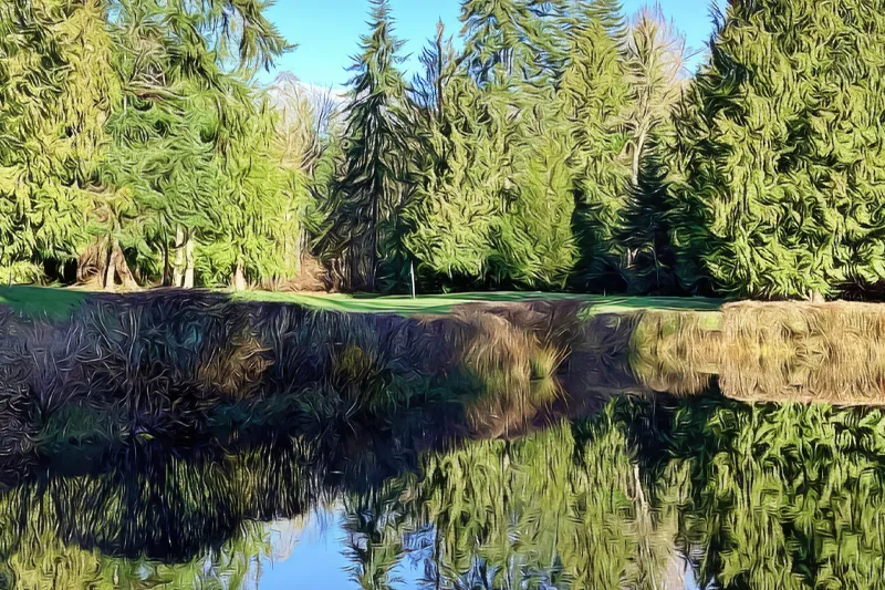 golfing at brigadoon-golf-course-parksville-vancouver-island-virtual-guide-golf-courses-guide-goparksville