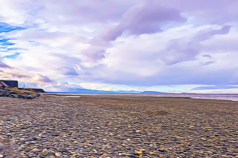 columbia-beach-central-parksville-bc-beach-guide-goparksville.com.webp