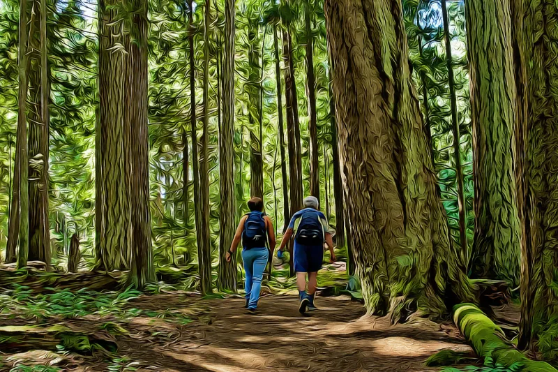 heritage-forest-park-qualicum-beach-vancouver-island-virtual-guide-goparksville