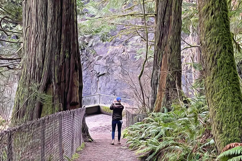 hiking-outdoor-activity-parksville-bc-virtual-guide-goparksville.com-vancouver-island