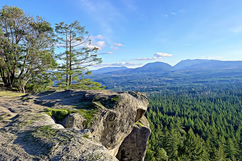 little-mountain-attrraction-errington-virtual-guide-goparksville.com-vancouver-island
