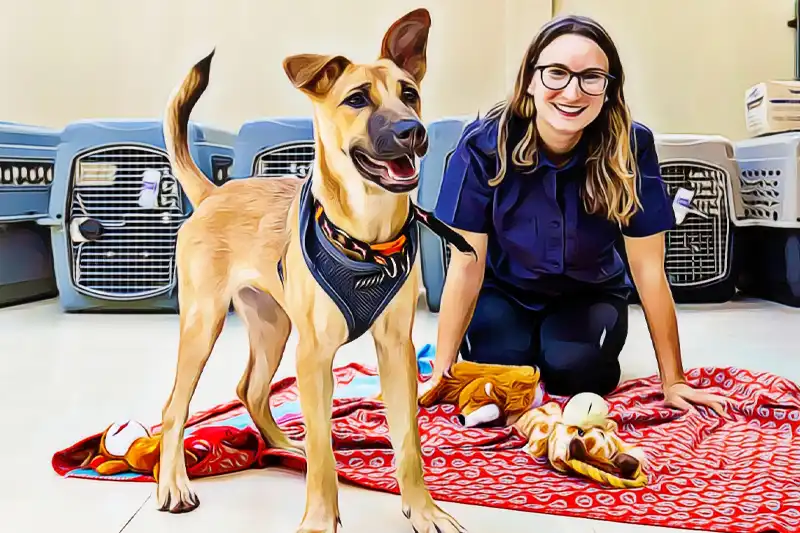 pet-boarding-and-daycare-in-parksville-nanoose-bay-qualicum-beach-coombs-goparksville