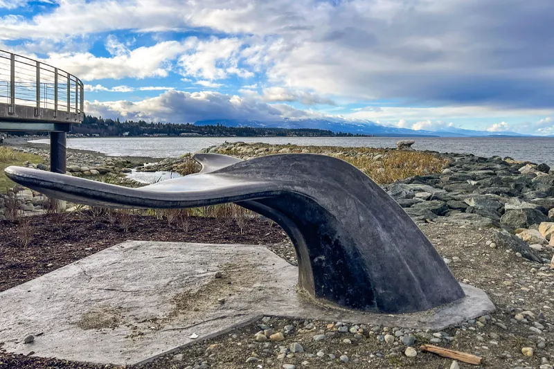 qualicum-beach-central-vancouver-island-region-vancouver-island-virtual-guide-visitvanisland-.webp