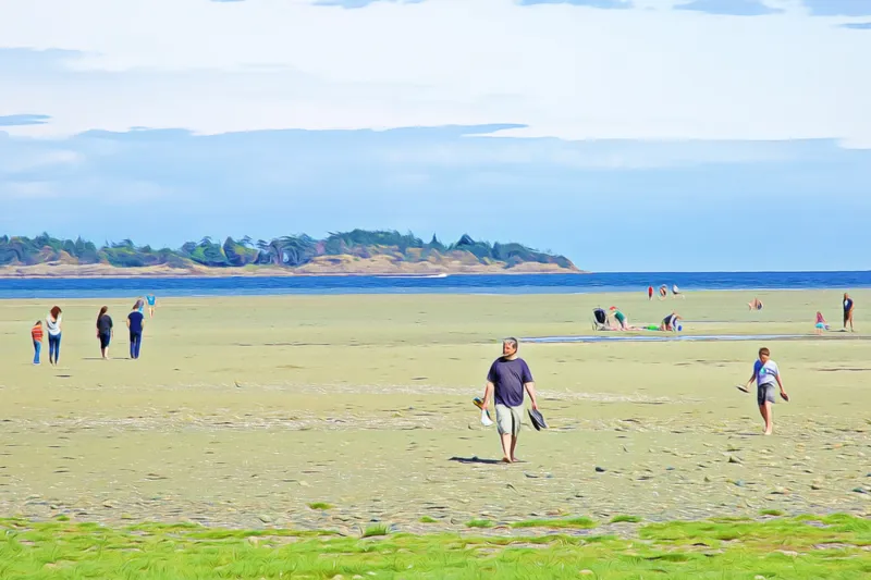 rathtrevor-beach-parksville-bc-vancouver-island-beach-guide-visitvanisland.webp