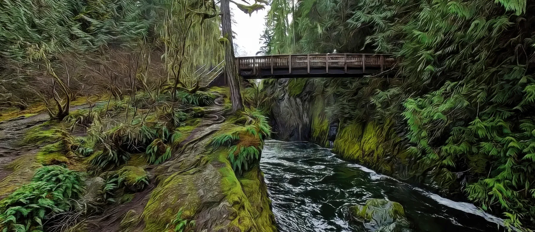 englishman-river-falls-provincial-park-erringnton-bc-outdoor-activities-Parks-things-to-do-in-parksville-attractions-goparksville.com-virtual-guide